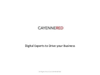 Digital Experts to Drive your Business
All Rights Reserved CAYENNERED
 