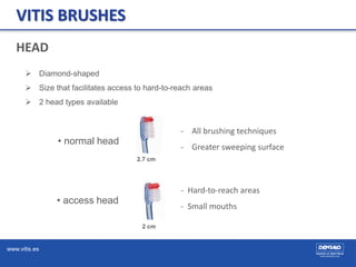 www.vitis.es
VITIS BRUSHES
 Diamond-shaped
 Size that facilitates access to hard-to-reach areas
 2 head types available
• normal head
• access head
2.7 cm
2 cm
HEAD
- Hard-to-reach areas
- Small mouths
- All brushing techniques
- Greater sweeping surface
 