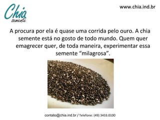 www.chia.ind.br
A procura por ela é quase uma corrida pelo ouro. A chia
semente está no gosto de todo mundo. Quem quer
emagrecer quer, de toda maneira, experimentar essa
semente “milagrosa”.
contato@chia.ind.br / Telefone: (49) 3433.0100