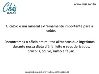 www.chia.ind.br




O cálcio é um mineral extremamente importante para a
                         saúde.

Encontramos o cálcio em muitos alimentos que ingerimos
    durante nossa dieta diária: leite e seus derivados,
             brócolis, couve, milho e feijão.




            contato@chia.ind.br / Telefone: (49) 3433.0100
 