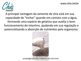 A principal vantagem da semente de chia está em sua capacidade de “inchar” quando em contato com a água, formando uma espécie de gelatina que auxilia o bom funcionamento do intestino, ajudando em sua regulação e potencializando a absorção de nutrientes pelo organismo. www.chia.ind.br [email_address]  / Telefone: (49) 3433.0100 
