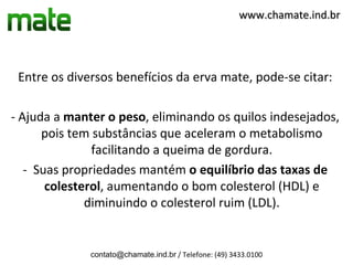 www.chamate.ind.br




 Entre os diversos benefícios da erva mate, pode-se citar:

- Ajuda a manter o peso, eliminando os quilos indesejados,
      pois tem substâncias que aceleram o metabolismo
               facilitando a queima de gordura.
   - Suas propriedades mantém o equilíbrio das taxas de
       colesterol, aumentando o bom colesterol (HDL) e
              diminuindo o colesterol ruim (LDL).


              contato@chamate.ind.br / Telefone: (49) 3433.0100
 