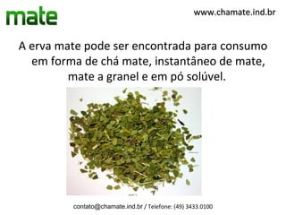 www.chamate.ind.br


A erva mate pode ser encontrada para consumo
  em forma de chá mate, instantâneo de mate,
         mate a granel e em pó solúvel.




         contato@chamate.ind.br / Telefone: (49) 3433.0100
 