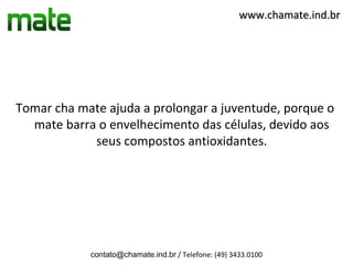 www.chamate.ind.br




Tomar cha mate ajuda a prolongar a juventude, porque o
  mate barra o envelhecimento das células, devido aos
            seus compostos antioxidantes.




            contato@chamate.ind.br / Telefone: (49) 3433.0100
 