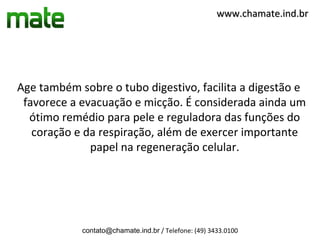 www.chamate.ind.br




Age também sobre o tubo digestivo, facilita a digestão e
 favorece a evacuação e micção. É considerada ainda um
  ótimo remédio para pele e reguladora das funções do
   coração e da respiração, além de exercer importante
              papel na regeneração celular.




            contato@chamate.ind.br / Telefone: (49) 3433.0100
 