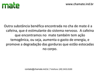 www.chamate.ind.br




Outra substância benéfica encontrada no cha de mate é a
 cafeína, que é estimulante do sistema nervoso. A cafeína
       que encontramos no mate também tem ação
    temogênica, ou seja, aumenta o gasto de energia, e
 promove a degradação das gorduras que estão estocadas
                         no corpo.




             contato@chamate.ind.br / Telefone: (49) 3433.0100
 