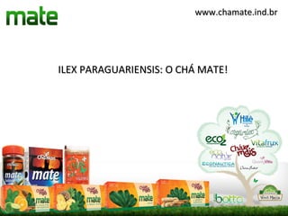 www.chamate.ind.br




ILEX PARAGUARIENSIS: O CHÁ MATE!
 