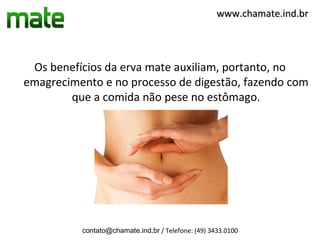 www.chamate.ind.br




 Os benefícios da erva mate auxiliam, portanto, no
emagrecimento e no processo de digestão, fazendo com
        que a comida não pese no estômago.




          contato@chamate.ind.br / Telefone: (49) 3433.0100
 
