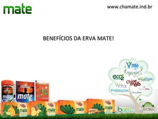 www.chamate.ind.br




BENEFÍCIOS DA ERVA MATE!
 