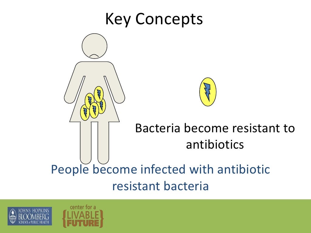 Key Concepts Bacteria resistant