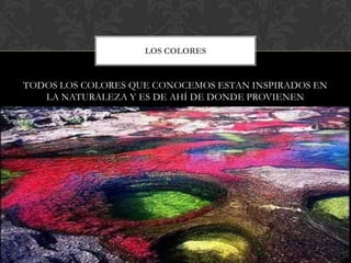 LOS COLORES


TODOS LOS COLORES QUE CONOCEMOS ESTAN INSPIRADOS EN
   LA NATURALEZA Y ES DE AHÍ DE DONDE PROVIENEN
 