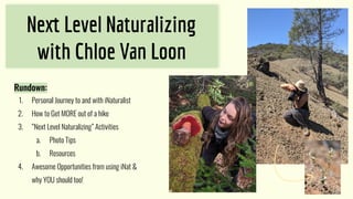 Ne Level Naturalizing
with Chloe Van Loon
Rundown:
1. Personal Journey to and with iNaturalist
2. How to Get MORE out of a hike
3. “Next Level Naturalizing” Activities
a. Photo Tips
b. Resources
4. Awesome Opportunities from using iNat &
why YOU should too!
 