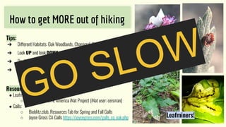 How to get MORE out of hiking
Tips:
➔ Different Habitats: Oak Woodlands, Chaparral, Redwoods, Riparian
➔ Look UP and look ...
