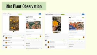 Good/Bad Plant
Observation
iNat Plant Observation
 