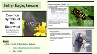 Birding + Bugging Resources
Guide:
● Diptera Field & ID Guide by Even Dankowic
○ https://sites.google.com/view/ﬂyguide
○ A...