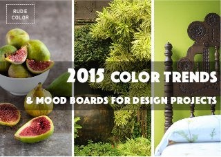 2015 COLOR TRENDS
& MOOD BOARDS FOR DESIGN PROJECTS
RUDE
COLOR
 