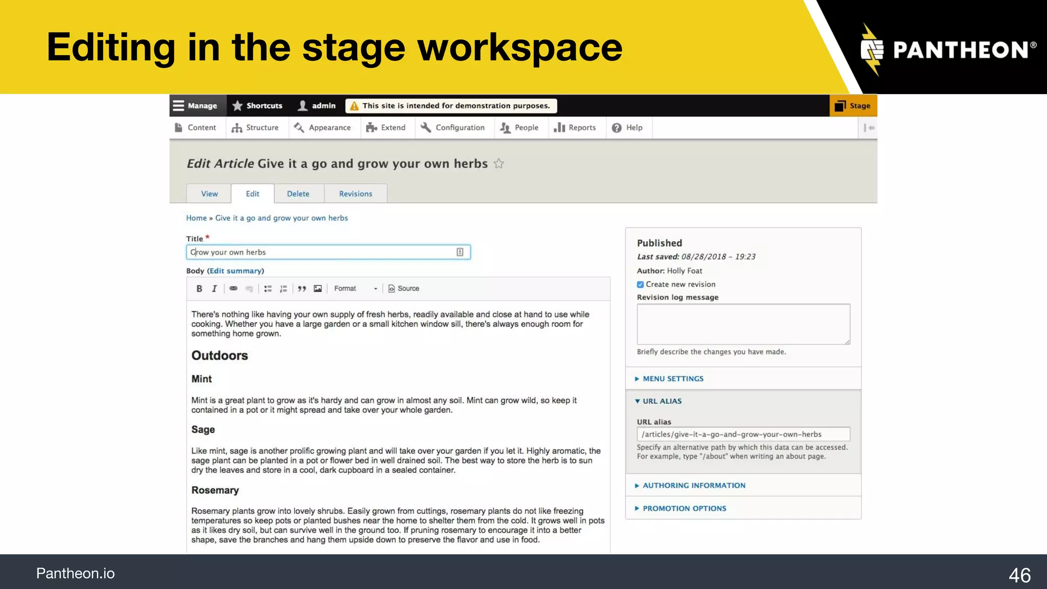 Pantheon.io
Editing in the stage workspace
46
 
