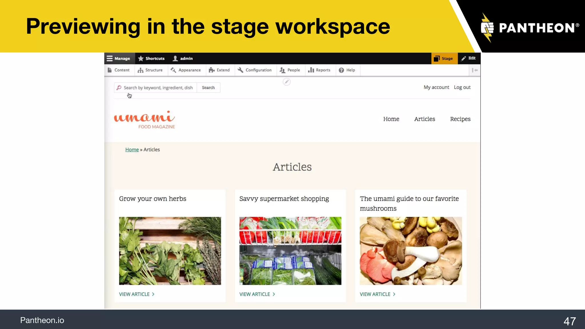 Pantheon.io
Previewing in the stage workspace
47
 