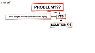YES!
SOLUTION???
PROBLEM???
Low oocyte eﬃciency and ovarian aging
 