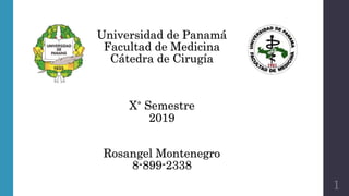 Universidad de Panamá
Facultad de Medicina
Cátedra de Cirugía
X° Semestre
2019
Rosangel Montenegro
8-899-2338
1
 