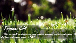 Romans 6:14 - Bible Verse of the Day