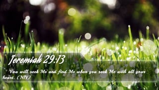 Jeremiah 29:13 - Bible Verse of the Day