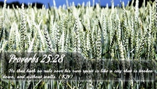 Proverbs 25:28 - Bible Verse of the Day