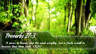 Proverbs 27:3 - Bible Verse of the Day