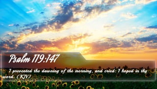Psalm 119:147 - Bible Verse of the Day