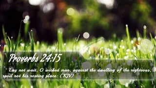 Proverbs 24:15 - Bible Verse of the Day