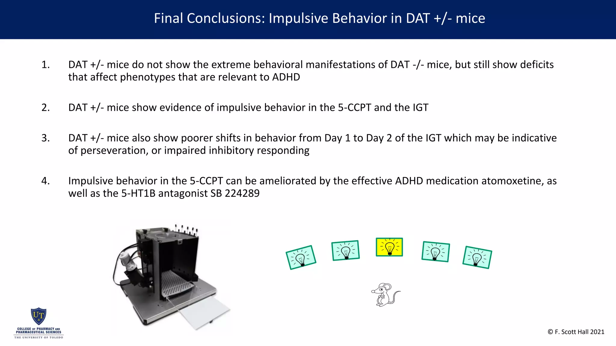 Reductions in Impulsivity in an Animal Model of Attention Deficit