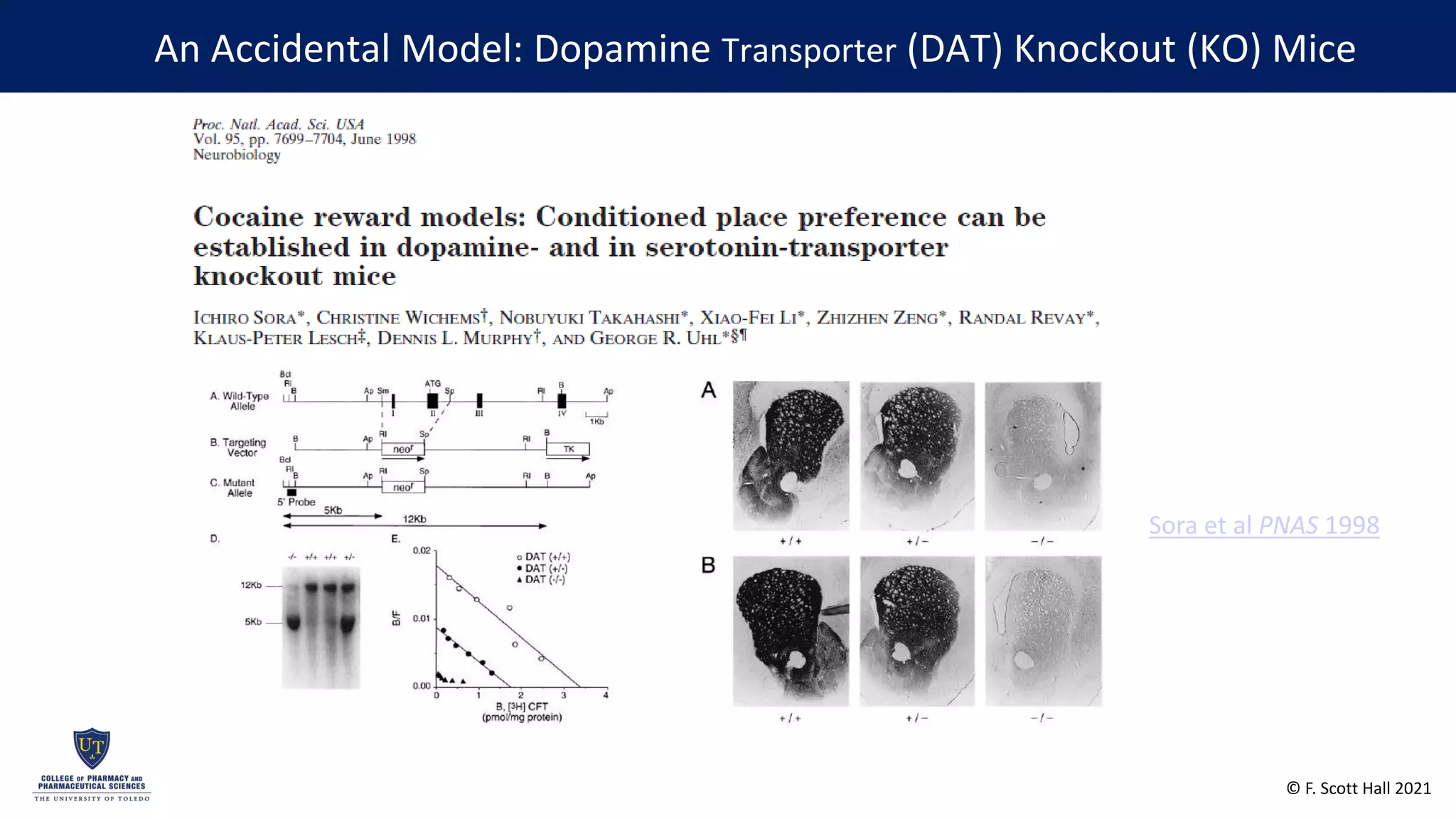Reductions in Impulsivity in an Animal Model of Attention Deficit