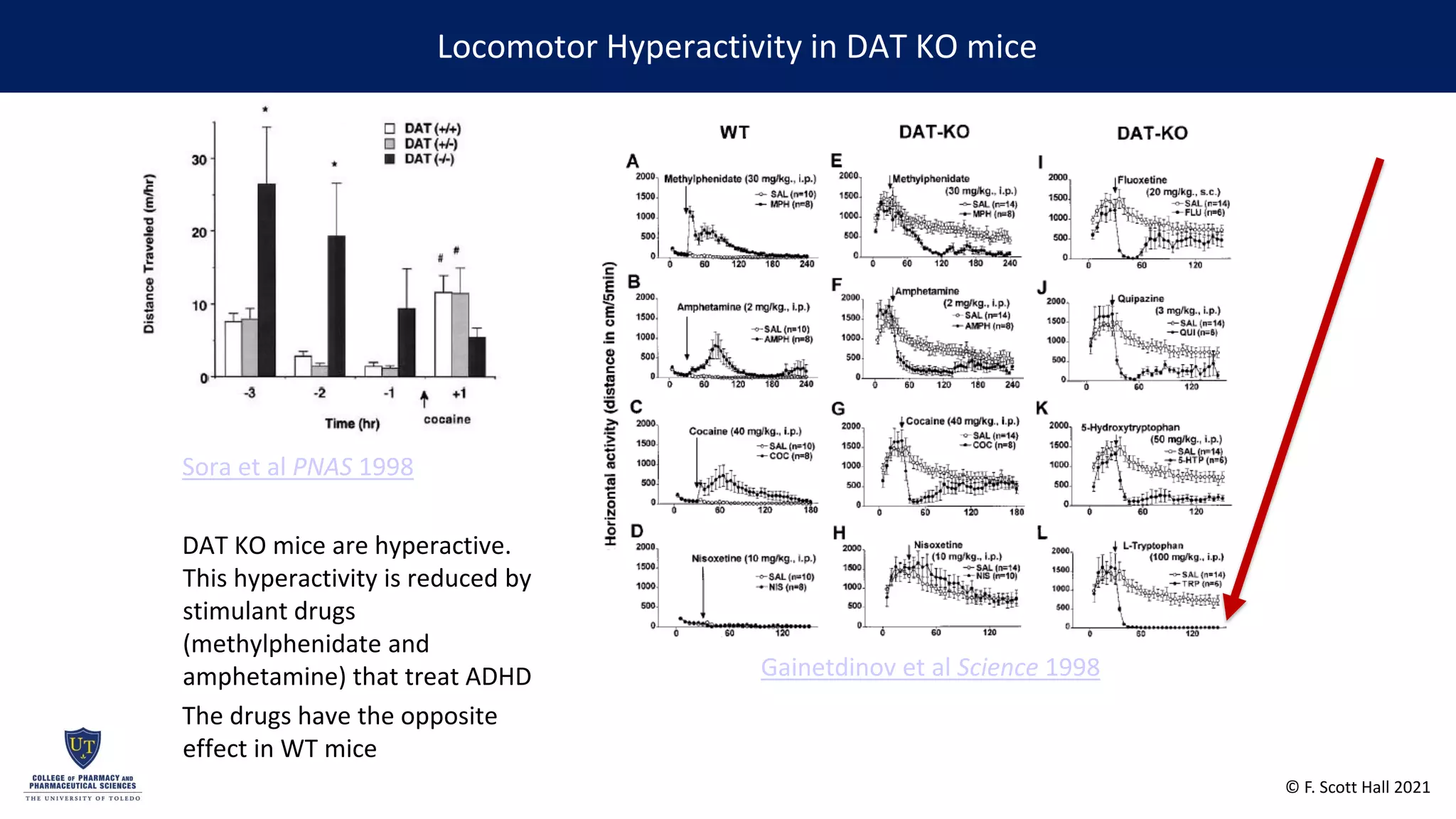 Reductions in Impulsivity in an Animal Model of Attention Deficit