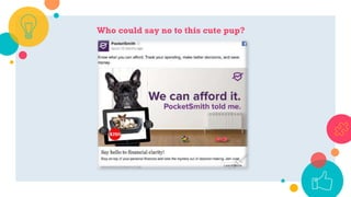 Who could say no to this cute pup?
 