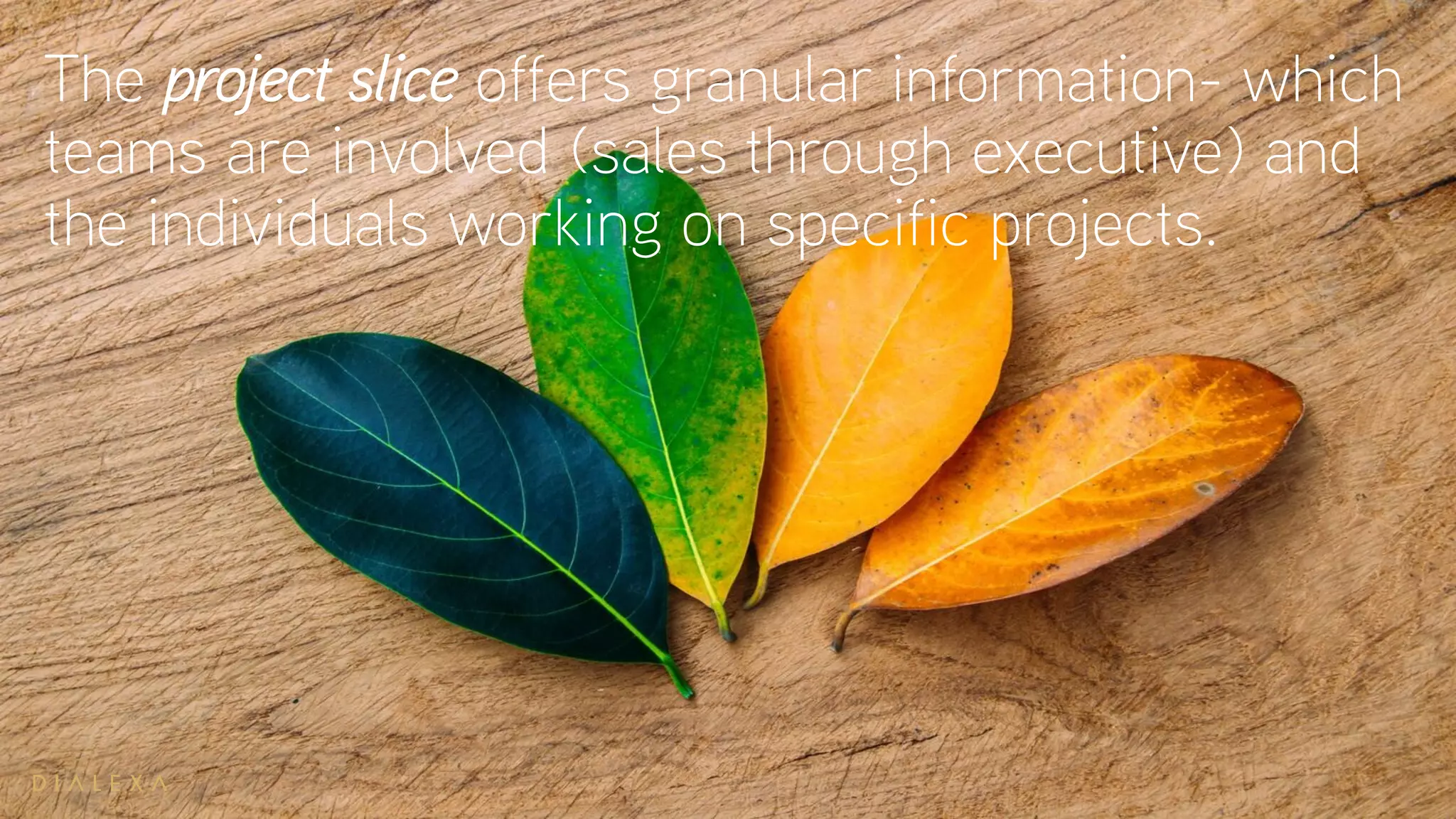 The project slice offers granular information- which
teams are involved (sales through executive) and
the individuals working on specific projects.
 