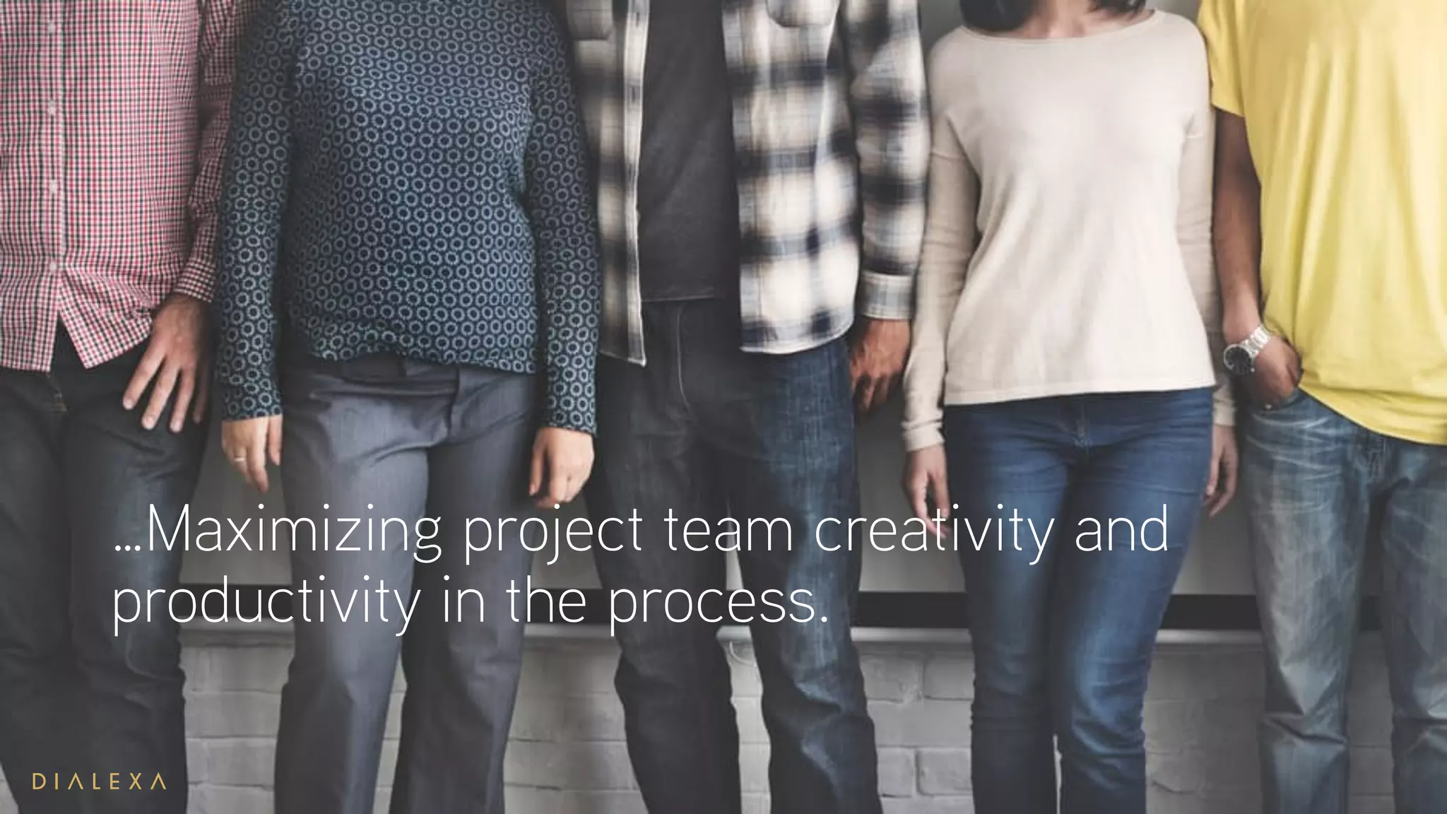 …Maximizing project team creativity and
productivity in the process.
 
