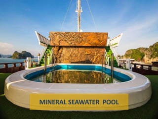 MINERAL SEAWATER POOL
 