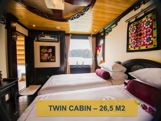 TWIN CABIN C 26,5 M2
 