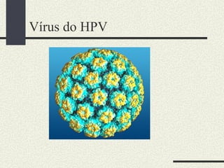Vírus do HPV
 