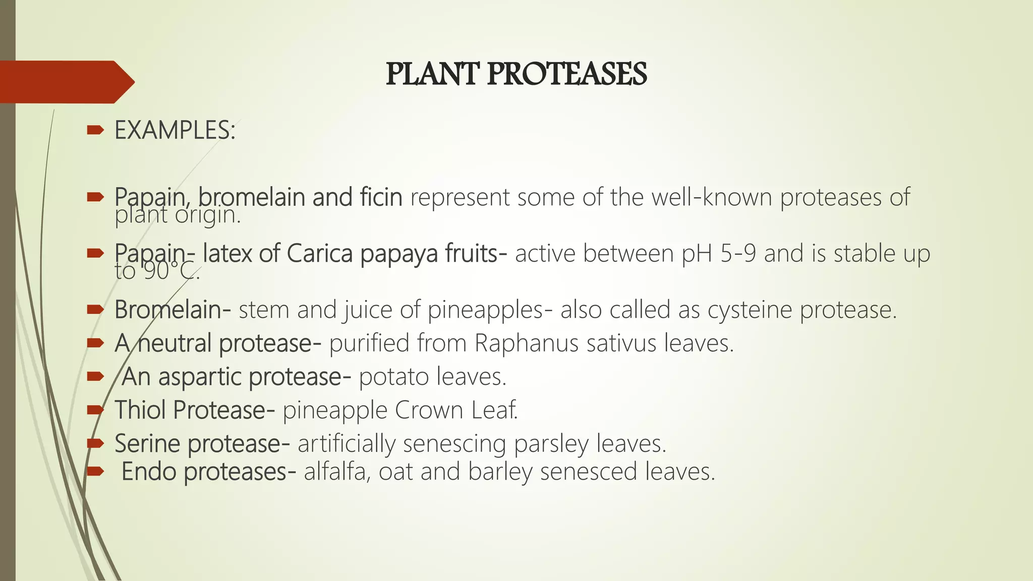 PLANT PROTEASES
 EXAMPLES:
 Papain, bromelain and ficin represent some of the well-known proteases of
plant origin.
 Papain- latex of Carica papaya fruits- active between pH 5-9 and is stable up
to 90°C.
 Bromelain- stem and juice of pineapples- also called as cysteine protease.
 A neutral protease- purified from Raphanus sativus leaves.
 An aspartic protease- potato leaves.
 Thiol Protease- pineapple Crown Leaf.
 Serine protease- artificially senescing parsley leaves.
 Endo proteases- alfalfa, oat and barley senesced leaves.
 