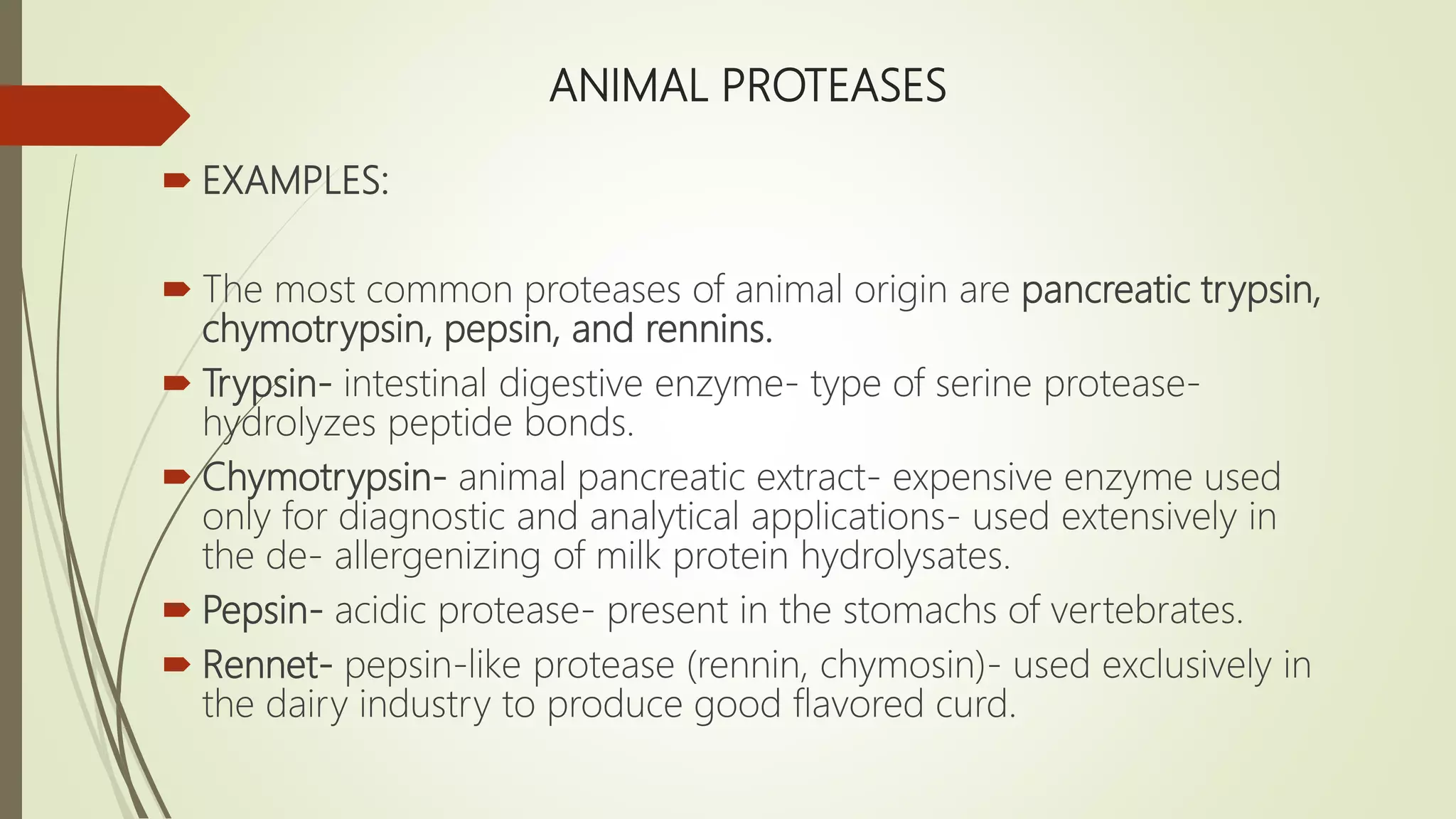 ANIMAL PROTEASES
 EXAMPLES:
 The most common proteases of animal origin are pancreatic trypsin,
chymotrypsin, pepsin, and rennins.
 Trypsin- intestinal digestive enzyme- type of serine protease-
hydrolyzes peptide bonds.
 Chymotrypsin- animal pancreatic extract- expensive enzyme used
only for diagnostic and analytical applications- used extensively in
the de- allergenizing of milk protein hydrolysates.
 Pepsin- acidic protease- present in the stomachs of vertebrates.
 Rennet- pepsin-like protease (rennin, chymosin)- used exclusively in
the dairy industry to produce good flavored curd.
 