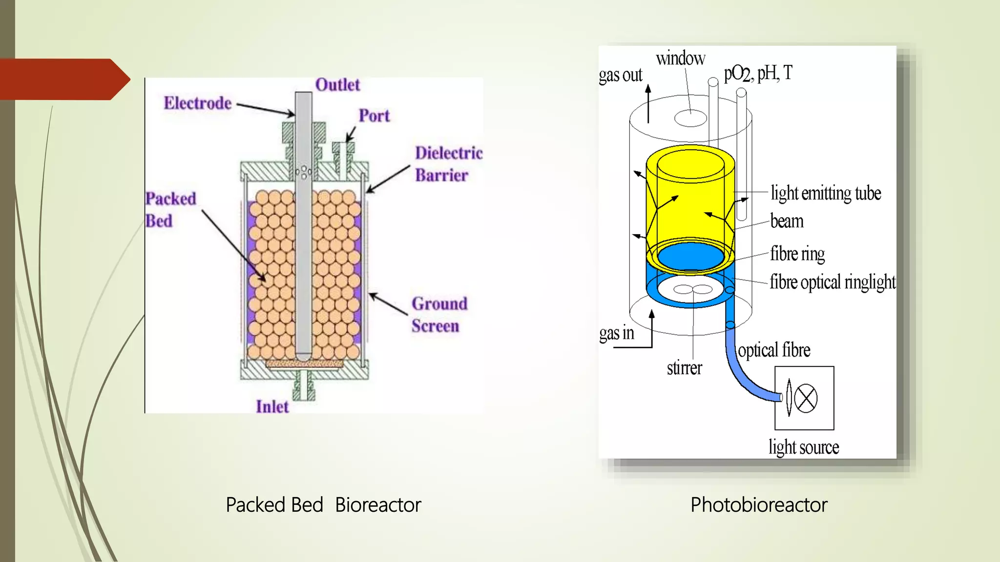 Packed Bed Bioreactor Photobioreactor
 