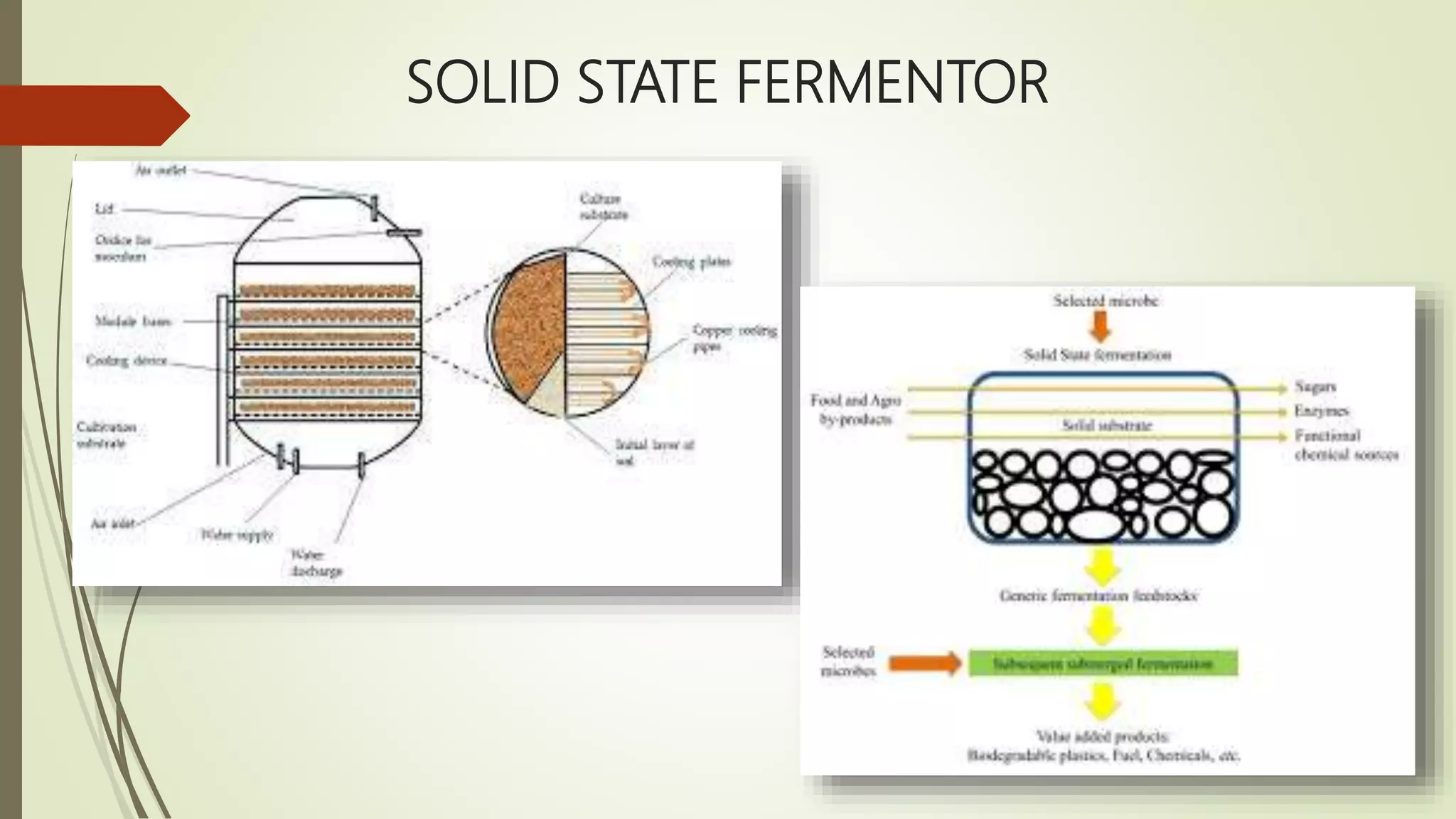 SOLID STATE FERMENTOR
 
