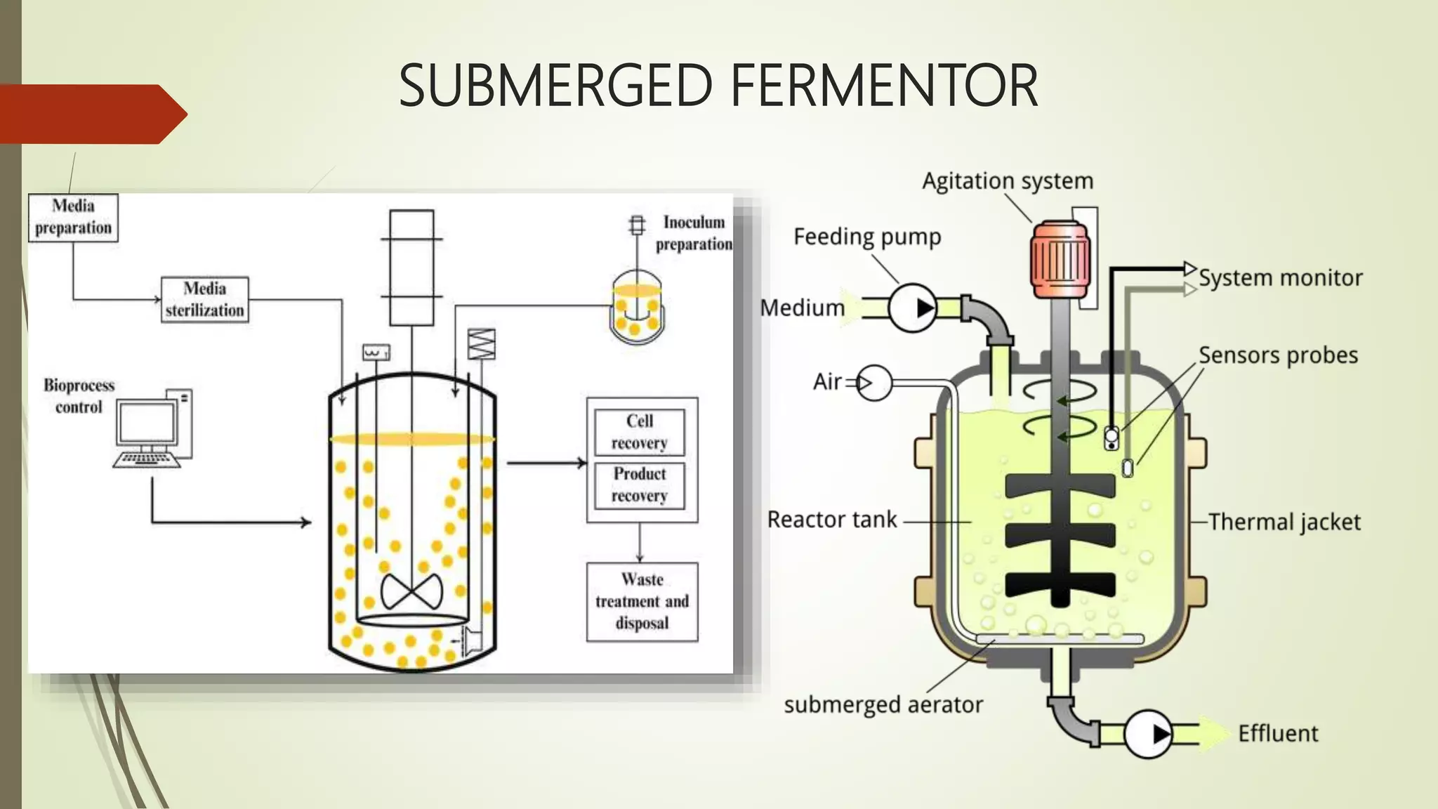 SUBMERGED FERMENTOR
 