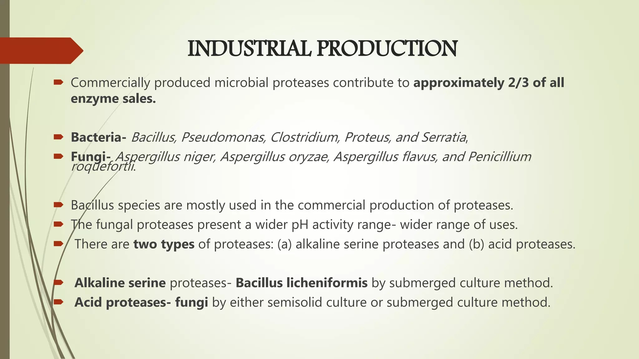 INDUSTRIAL PRODUCTION
 Commercially produced microbial proteases contribute to approximately 2/3 of all
enzyme sales.
 Bacteria- Bacillus, Pseudomonas, Clostridium, Proteus, and Serratia,
 Fungi- Aspergillus niger, Aspergillus oryzae, Aspergillus flavus, and Penicillium
roquefortii.
 Bacillus species are mostly used in the commercial production of proteases.
 The fungal proteases present a wider pH activity range- wider range of uses.
 There are two types of proteases: (a) alkaline serine proteases and (b) acid proteases.
 Alkaline serine proteases- Bacillus licheniformis by submerged culture method.
 Acid proteases- fungi by either semisolid culture or submerged culture method.
 
