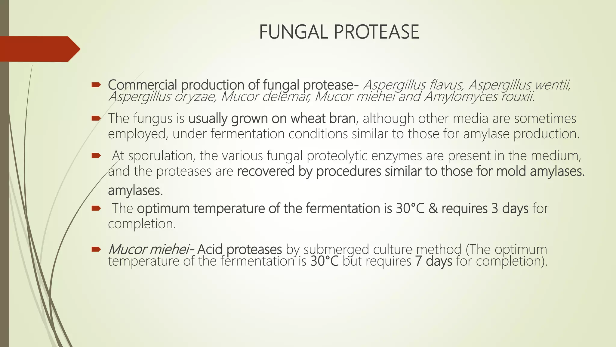 FUNGAL PROTEASE
 Commercial production of fungal protease- Aspergillus flavus, Aspergillus wentii,
Aspergillus oryzae, Mucor delemar, Mucor miehei and Amylomyces rouxii.
 The fungus is usually grown on wheat bran, although other media are sometimes
employed, under fermentation conditions similar to those for amylase production.
 At sporulation, the various fungal proteolytic enzymes are present in the medium,
and the proteases are recovered by procedures similar to those for mold amylases.
amylases.
 The optimum temperature of the fermentation is 30°C & requires 3 days for
completion.
 Mucor miehei- Acid proteases by submerged culture method (The optimum
temperature of the fermentation is 30°C but requires 7 days for completion).
 