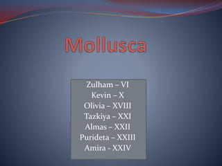 Zulham – VI
Kevin – X
Olivia – XVIII
Tazkiya – XXI
Almas – XXII
Purideta – XXIII
Amira - XXIV
 