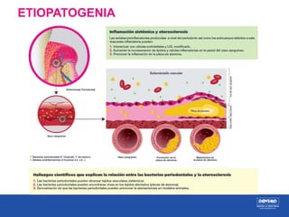 Importante:
Prevención de las enfermedades
periodontales antes y durante el embarazo
- Consulte a su dentista si está emba...