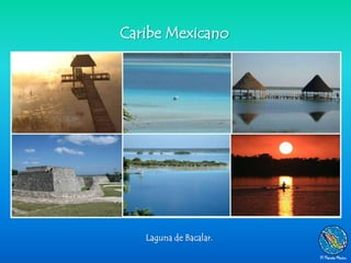 Caribe Mexicano




   Laguna de Bacalar.
 