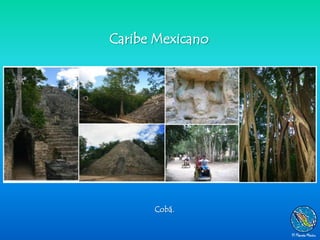 Caribe Mexicano




      Cobá.
 